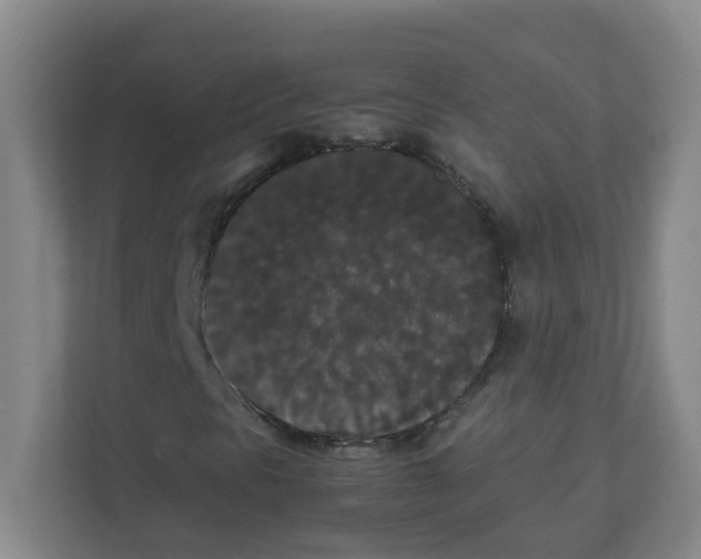 X0000111861297200908201249