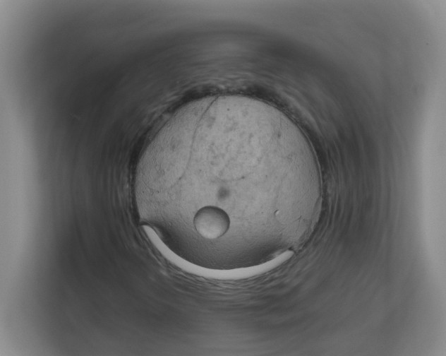 X0000111861298200908201249