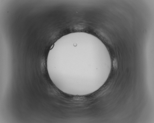 X0000111861299200908201249