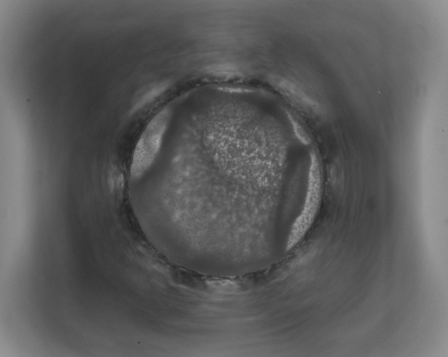 X0000111861302200908201249