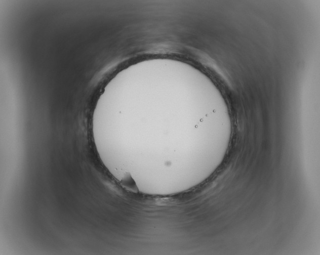 X0000111861304200908201249