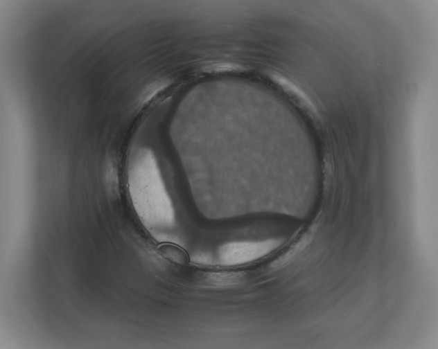 X0000111861305200908201249