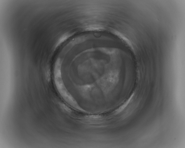 X0000111861306200908201249