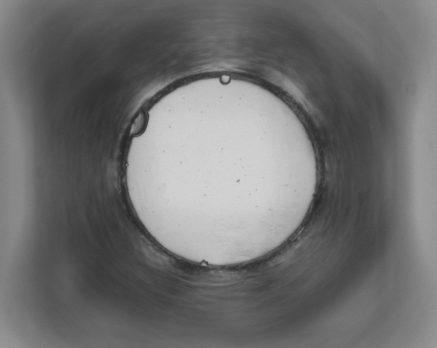 X0000111861308200908201249