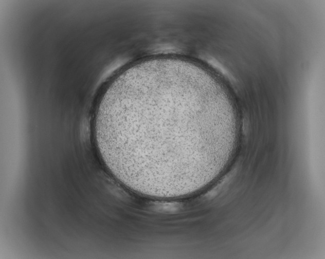 X0000111861309200908201249