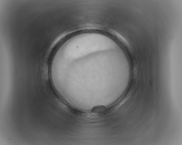 X0000111861310200908201249
