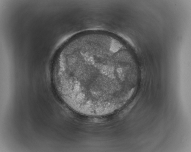 X0000111861311200908201249
