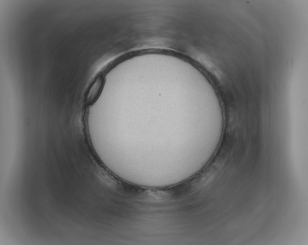 X0000111861312200908201249