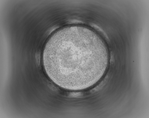 X0000111861313200908201249