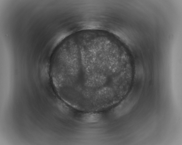 X0000111861314200908201249