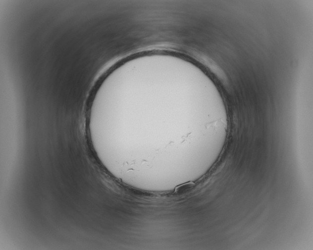 X0000111861316200908201249