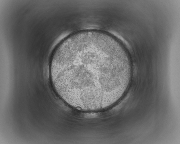 X0000111861317200908201249