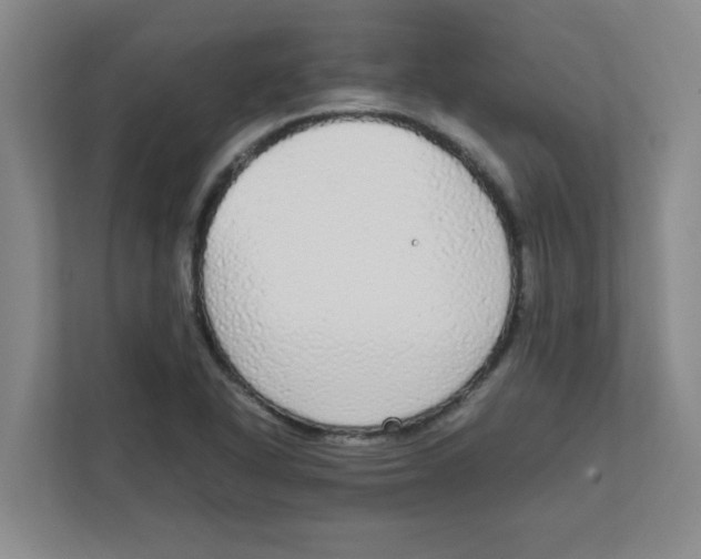 X0000111861318200908201249