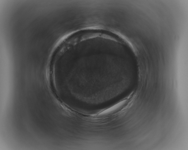 X0000111861319200908201249