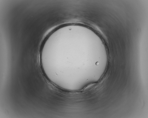 X0000111861320200908201249