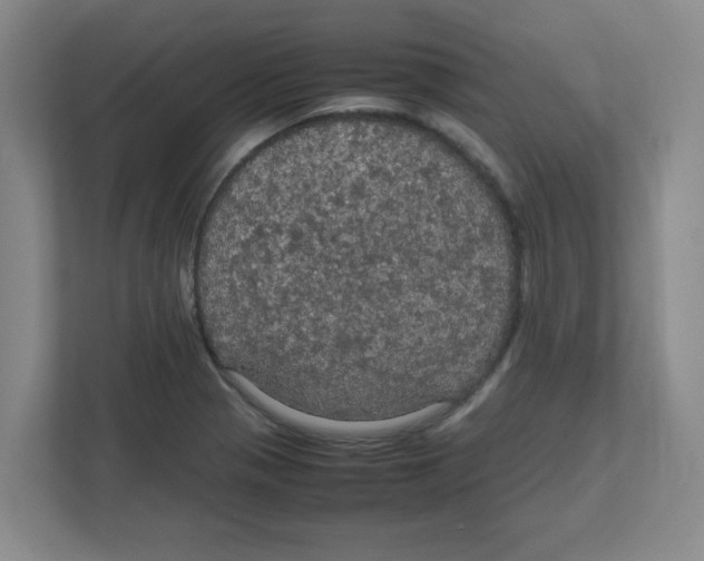 X0000111861321200908201249