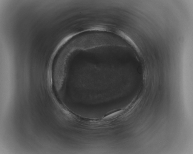 X0000111861323200908201249