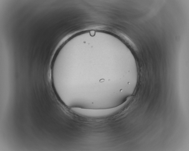 X0000111861324200908201249