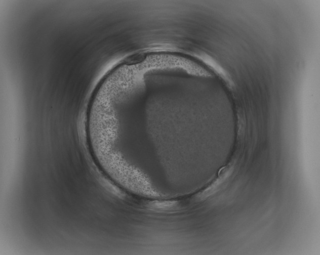 X0000111861325200908201249