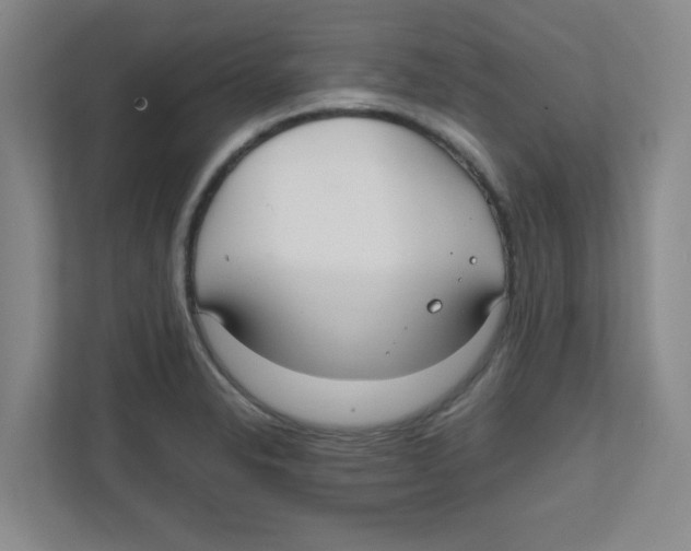 X0000111861326200908201249