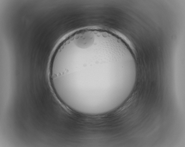 X0000111861327200908201249