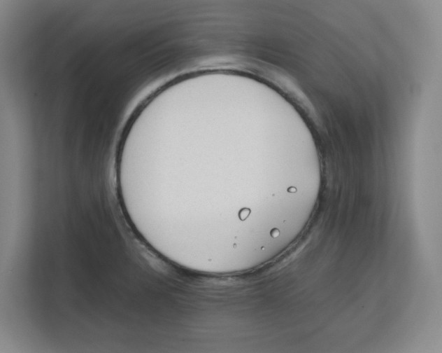 X0000111861328200908201249