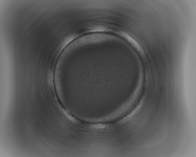 X0000111861329200908201249