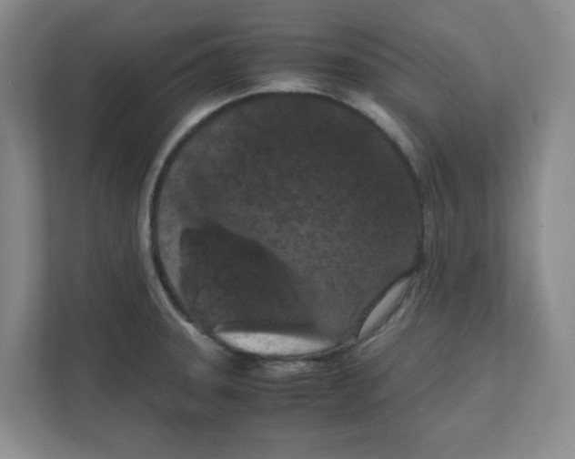 X0000111861331200908201249