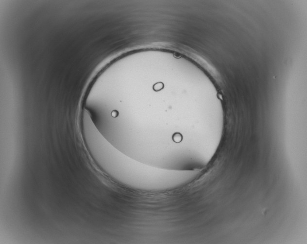 X0000111861332200908201249
