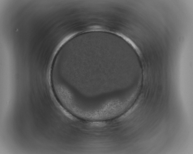 X0000111861333200908201249