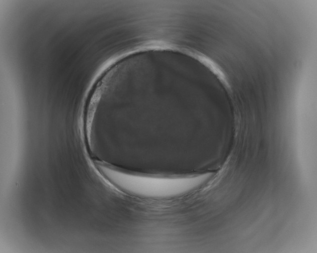 X0000111861334200908201249