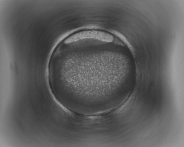 X0000111861335200908201249