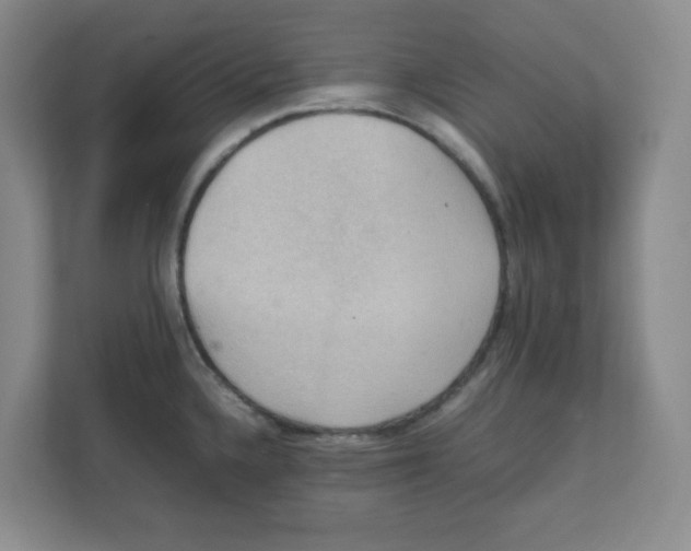 X0000111861336200908201249