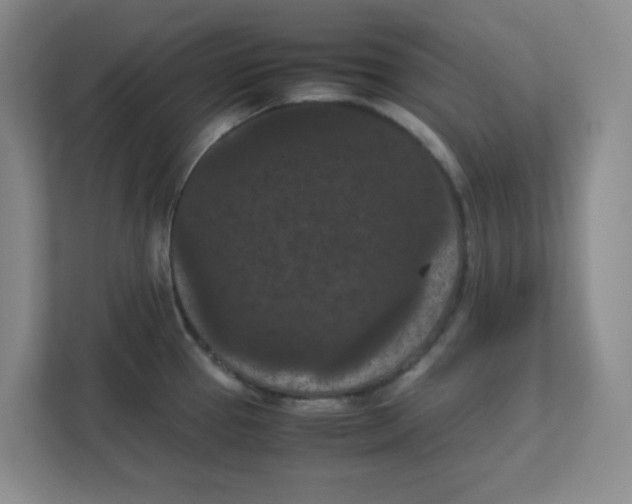 X0000111861337200908201249