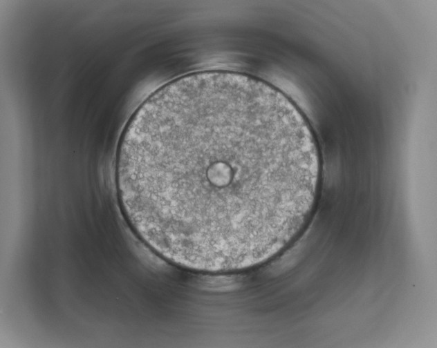 X0000111861338200908201249