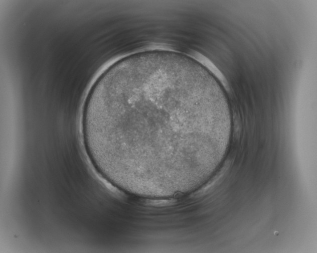 X0000111861339200908201249