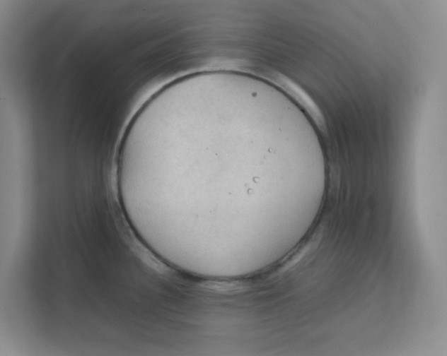 X0000111861340200908201250