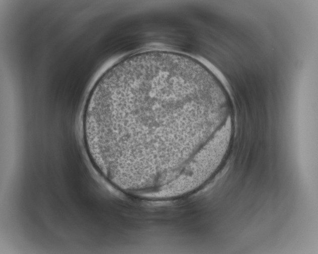 X0000111861341200908201250