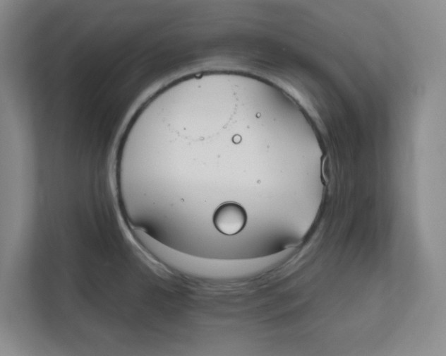 X0000111861342200908201250