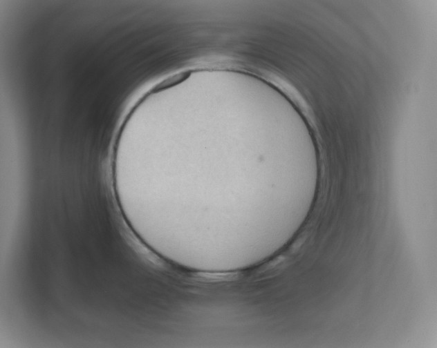 X0000111861344200908201250