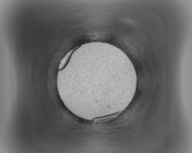 X0000111861345200908201249