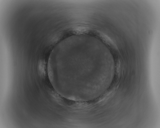 X0000111861346200908201249