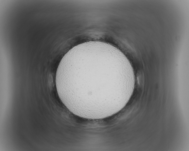 X0000111861347200908201249