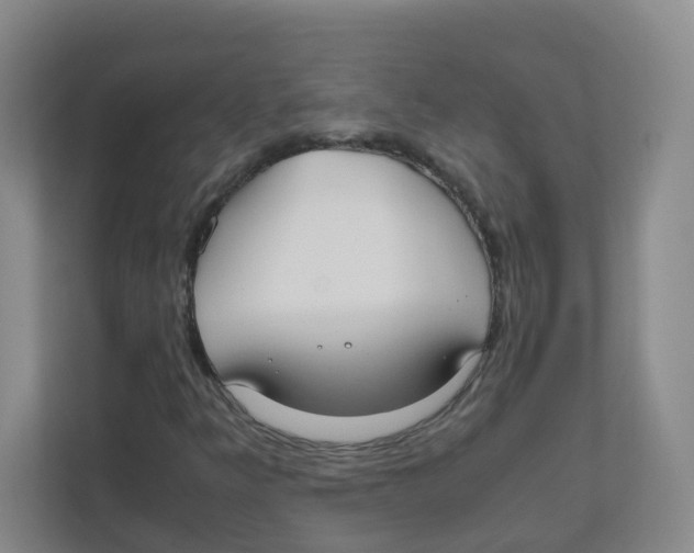 X0000111861349200908201249