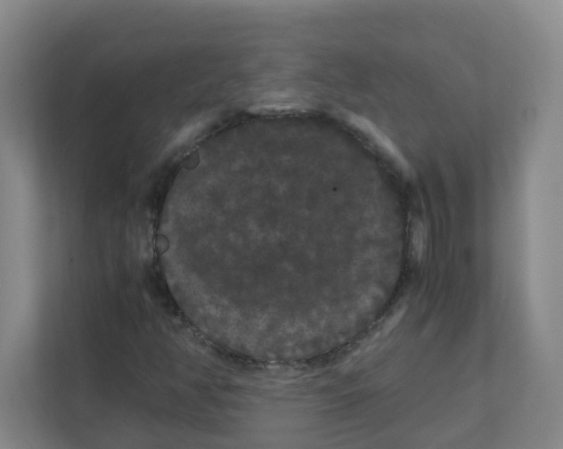 X0000111861350200908201249