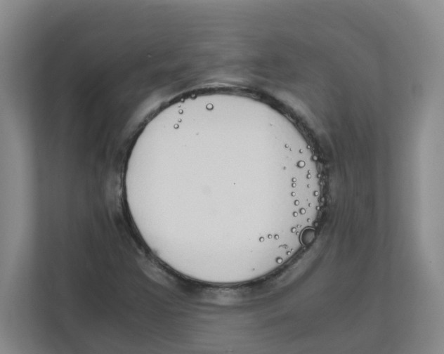 X0000111861355200908201249