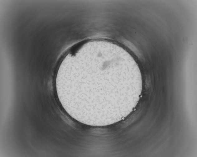 X0000111861356200908201249