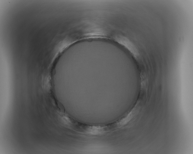 X0000111861357200908201249