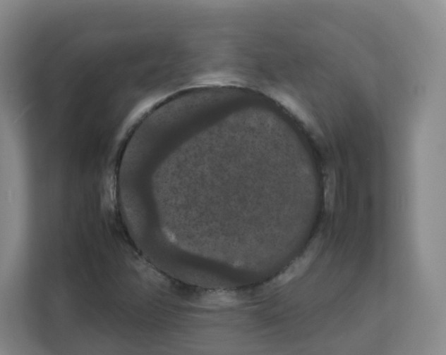 X0000111861358200908201249