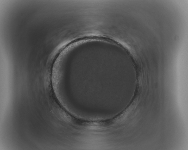 X0000111861359200908201249